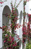 Vincci Djerba Hotel 